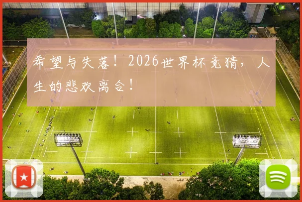 希望与失落！2026世界杯竞猜，人生的悲欢离合！