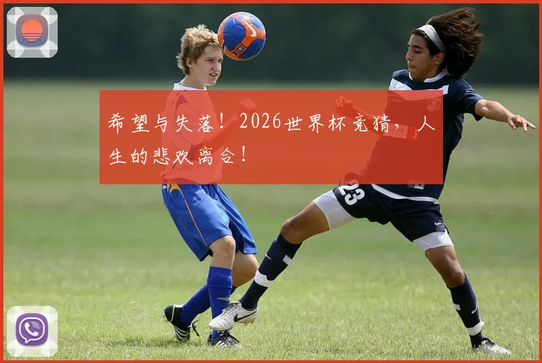 希望与失落！2026世界杯竞猜，人生的悲欢离合！